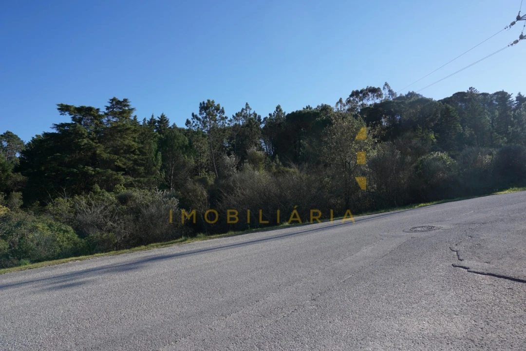 Terreno Agricola ou Rústico para Venda em Assafarge e Antanhol Foto 1