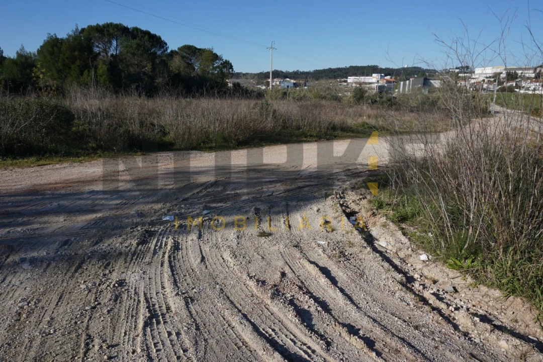 Terreno Agricola ou Rústico para Venda em Assafarge e Antanhol Foto 3