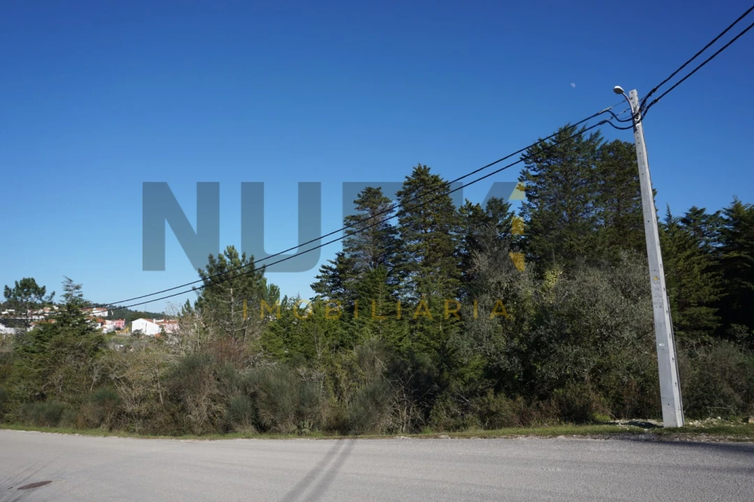 Terreno Agricola ou Rústico para Venda em Assafarge e Antanhol Foto 5