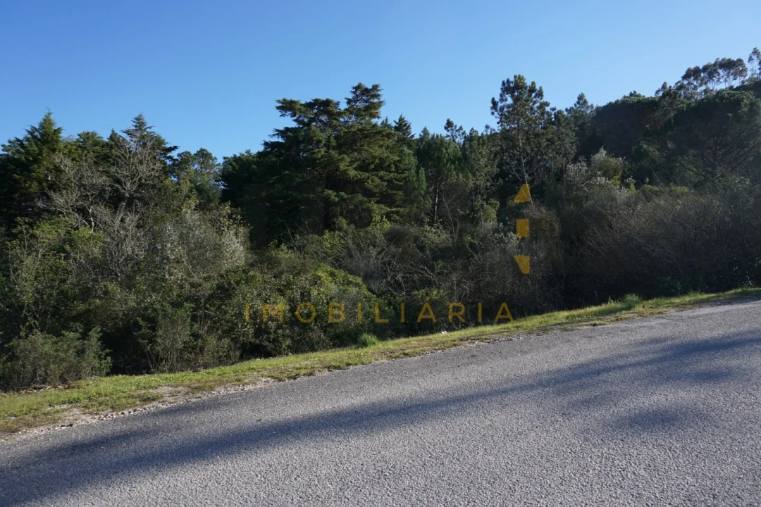 Terreno Agricola ou Rústico para Venda em Assafarge e Antanhol Foto 7