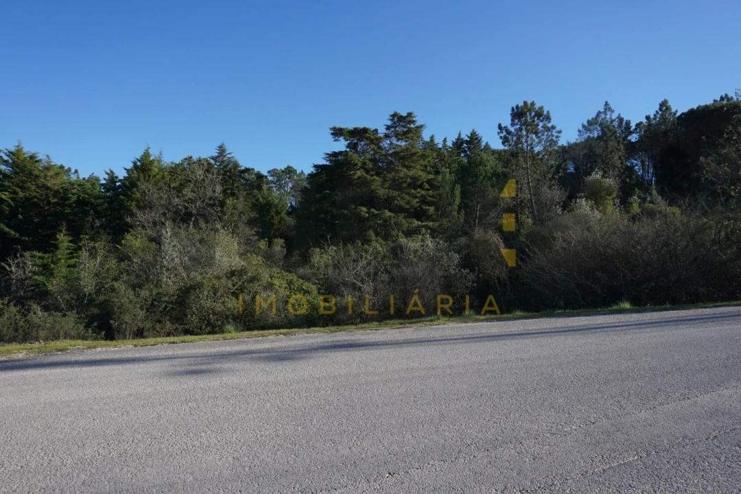 Terreno Agricola ou Rústico para Venda em Assafarge e Antanhol Foto 11