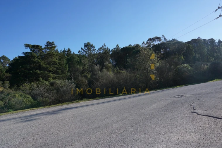 Terreno Agricola ou Rústico para Venda em Assafarge e Antanhol Foto 1