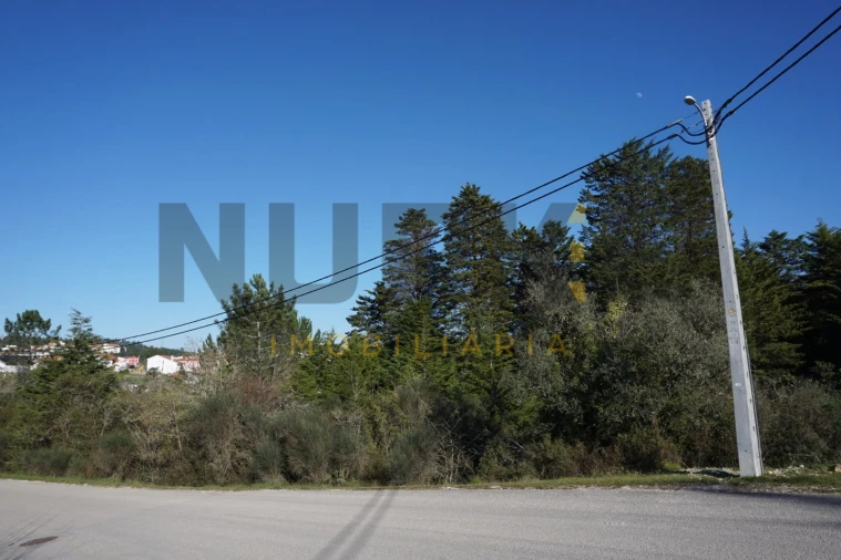 Terreno Agricola ou Rústico para Venda em Assafarge e Antanhol Foto 5