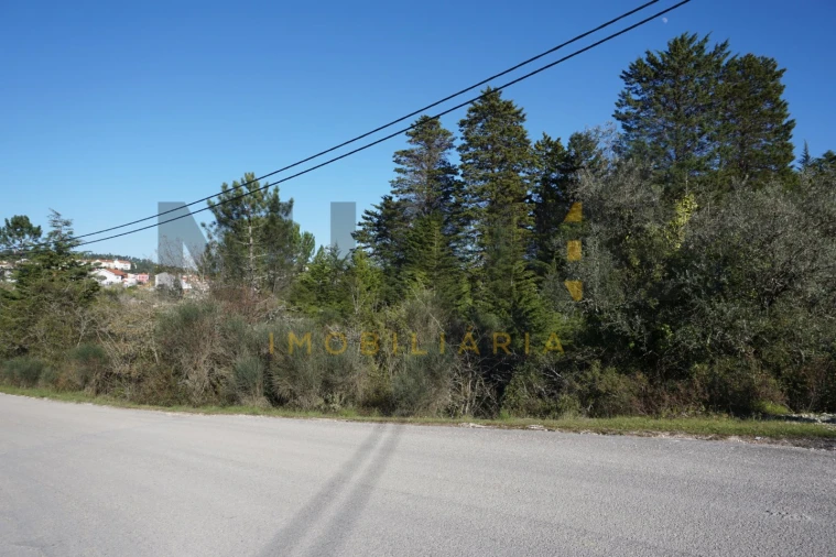 Terreno Agricola ou Rústico para Venda em Assafarge e Antanhol Foto 6