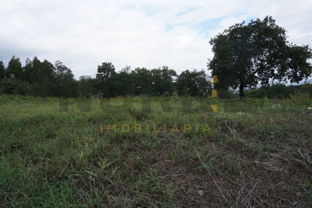 Terreno Agricola ou Rústico para Venda em Santa Clara e Castelo Viegas Foto 1