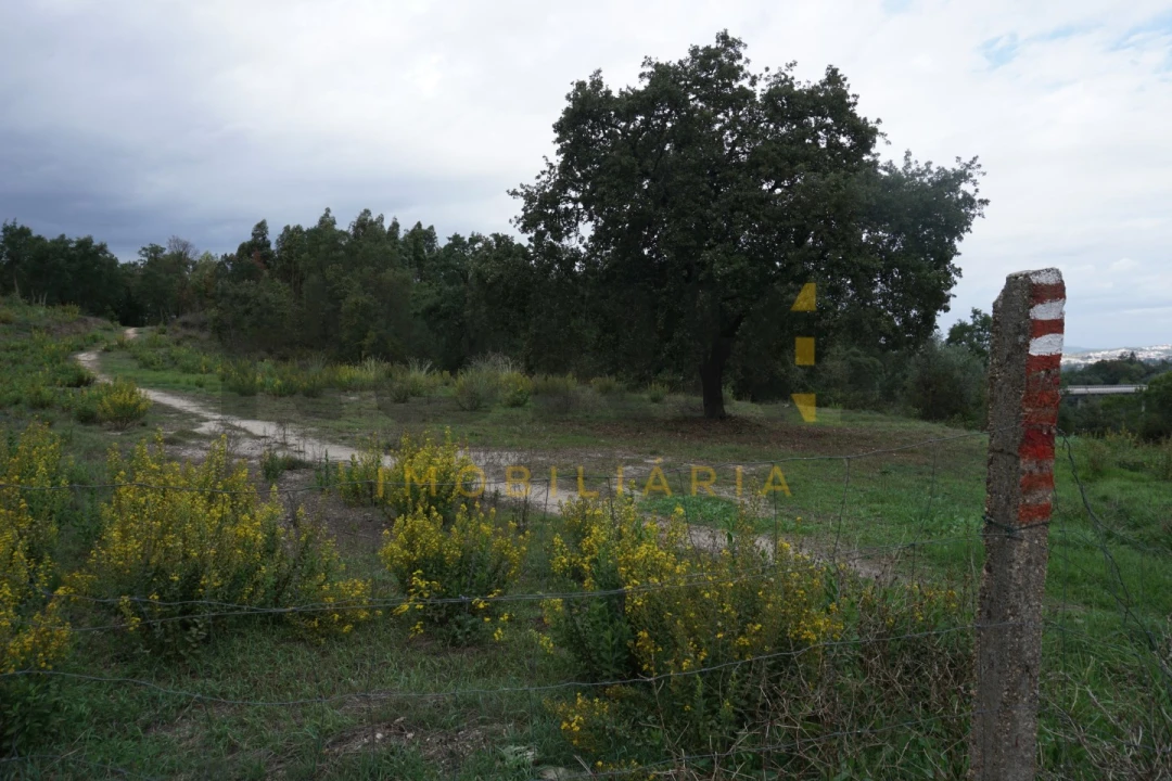 Terreno Agricola ou Rústico para Venda em Santa Clara e Castelo Viegas Foto 2