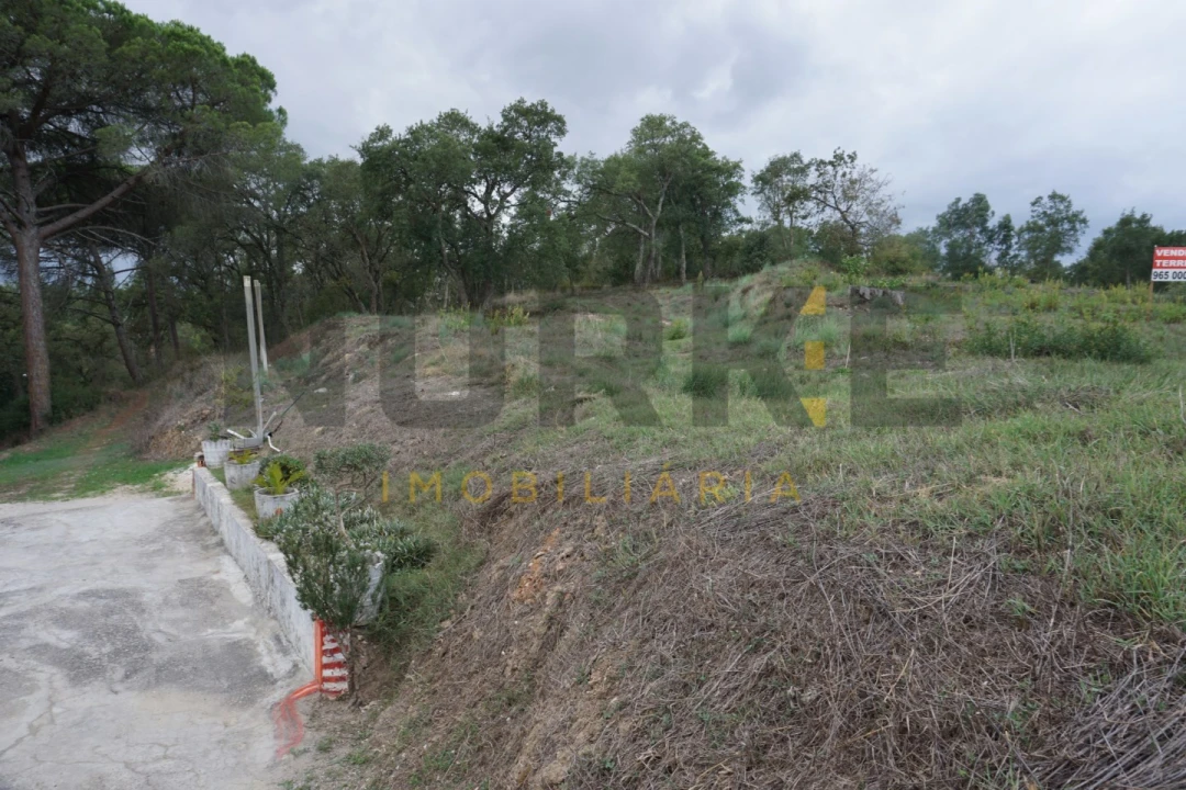 Terreno Agricola ou Rústico para Venda em Santa Clara e Castelo Viegas Foto 4