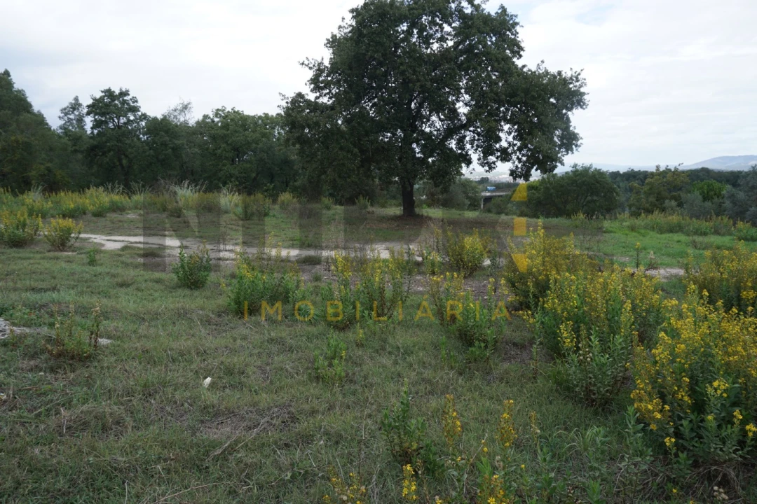 Terreno Agricola ou Rústico para Venda em Santa Clara e Castelo Viegas Foto 6