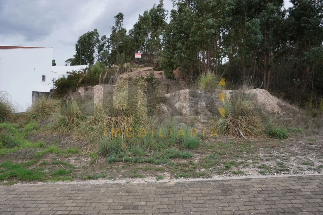 Terreno Agricola ou Rústico para Venda em Santa Clara e Castelo Viegas Foto 8