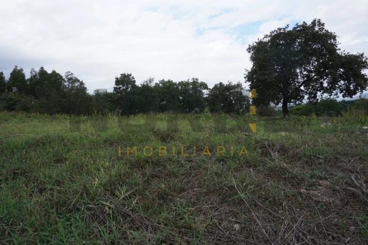 Terreno Agricola ou Rústico para Venda em Santa Clara e Castelo Viegas Foto 1