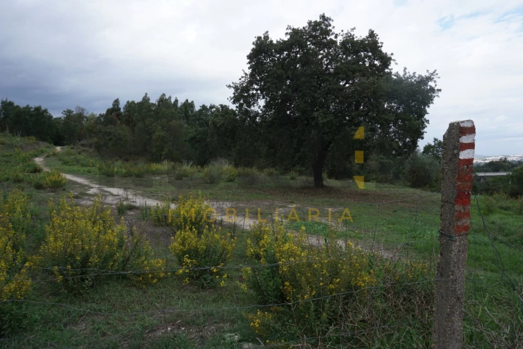 Terreno Agricola ou Rústico para Venda em Santa Clara e Castelo Viegas Foto 2