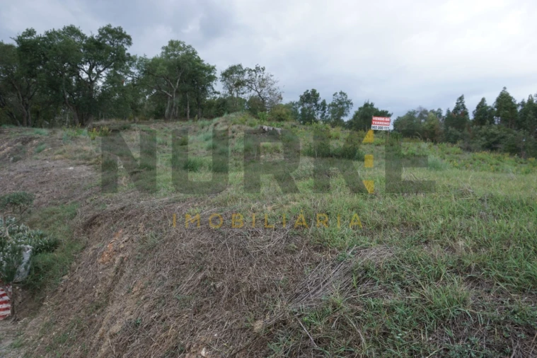 Terreno Agricola ou Rústico para Venda em Santa Clara e Castelo Viegas Foto 3