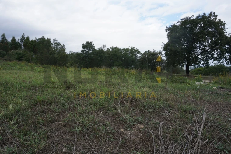 Terreno Agricola ou Rústico para Venda em Santa Clara e Castelo Viegas Foto 5