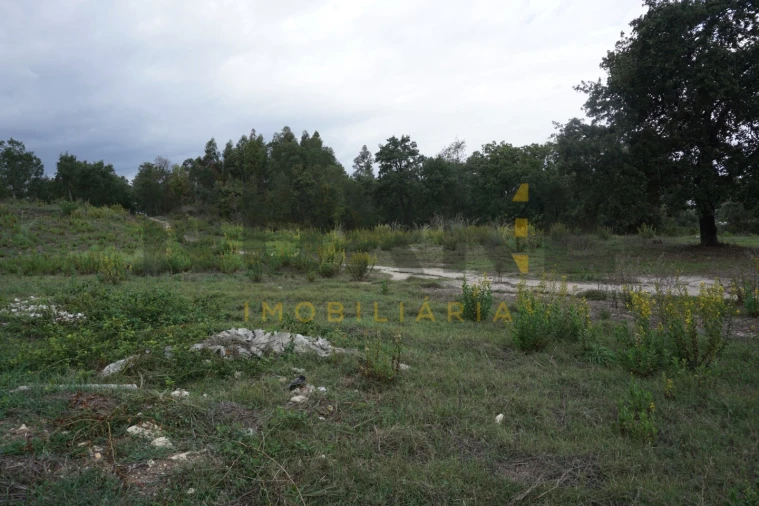 Terreno Agricola ou Rústico para Venda em Santa Clara e Castelo Viegas Foto 7