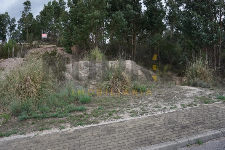 Terreno Agricola ou Rústico para Venda em Santa Clara e Castelo Viegas Foto 9