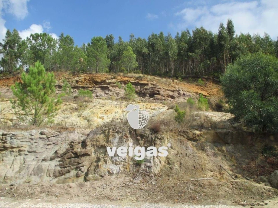 Terreno para Venda em Venda do Pinheiro e Santo Estêvão das Galés Foto 19