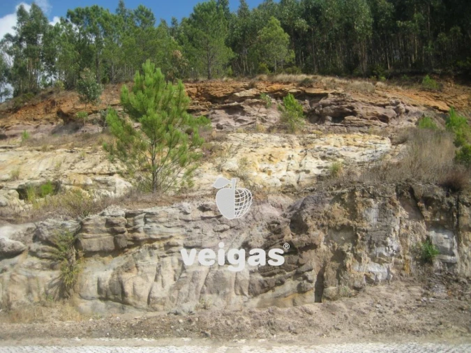 Terreno para Venda em Venda do Pinheiro e Santo Estêvão das Galés Foto 28