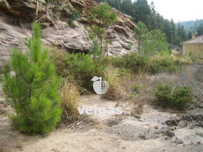 Terreno para Venda em Venda do Pinheiro e Santo Estêvão das Galés Foto 22