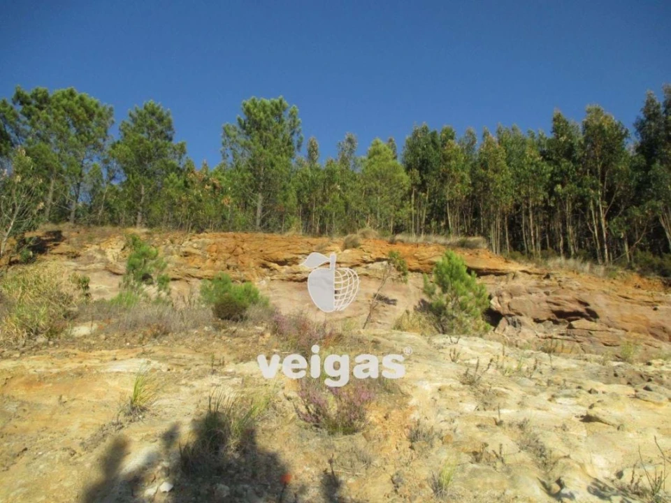 Terreno para Venda em Venda do Pinheiro e Santo Estêvão das Galés Foto 16