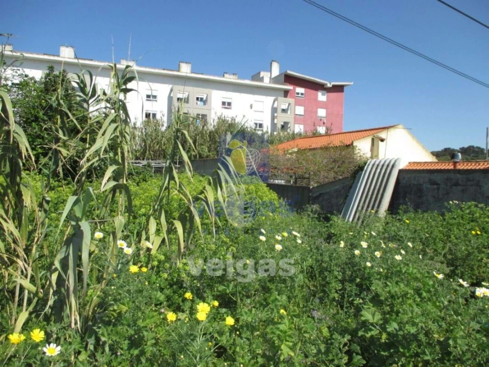 Terreno para Venda em Ajuda Foto 5