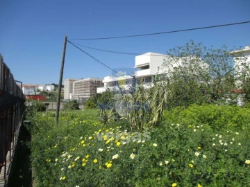 Terreno para Venda em Ajuda