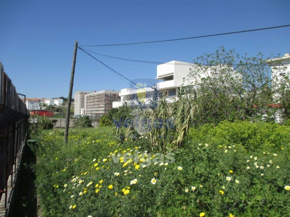 Terreno para Venda em Ajuda Foto 7