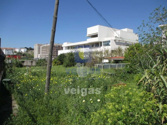 Terreno para Venda em Ajuda Foto 2