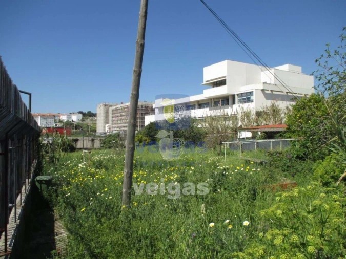 Terreno para Venda em Ajuda Foto 8
