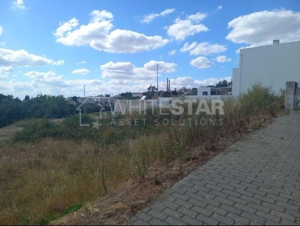 Terreno para Venda em Sé e São Lourenço Foto 3