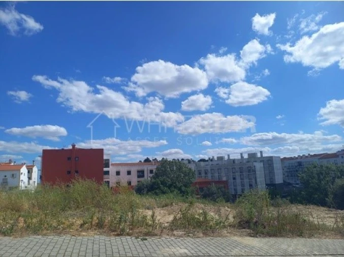 Terreno para Venda em Sé e São Lourenço Foto 4