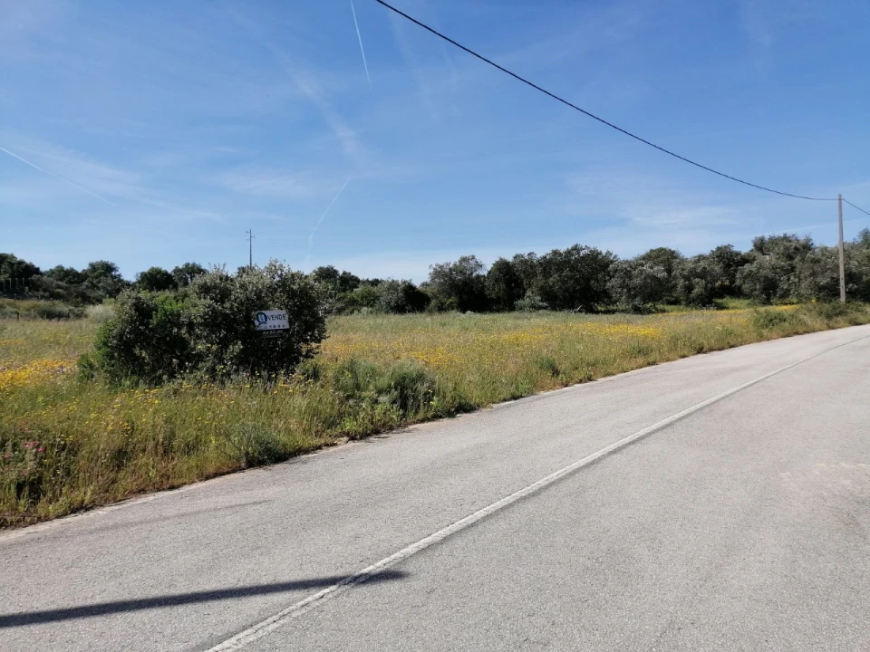Quinta para Venda em Sé e São Lourenço Foto 5