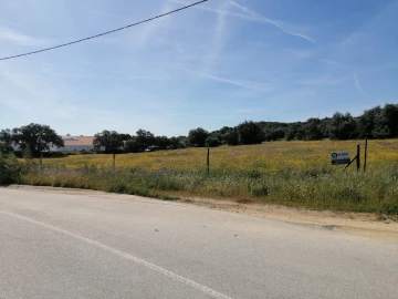 Quinta para Venda em Sé e São Lourenço