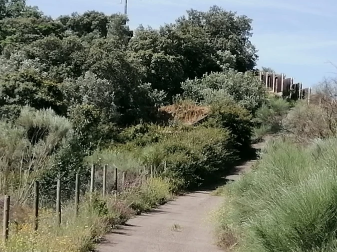 Quinta para Venda em Sé e São Lourenço Foto 4