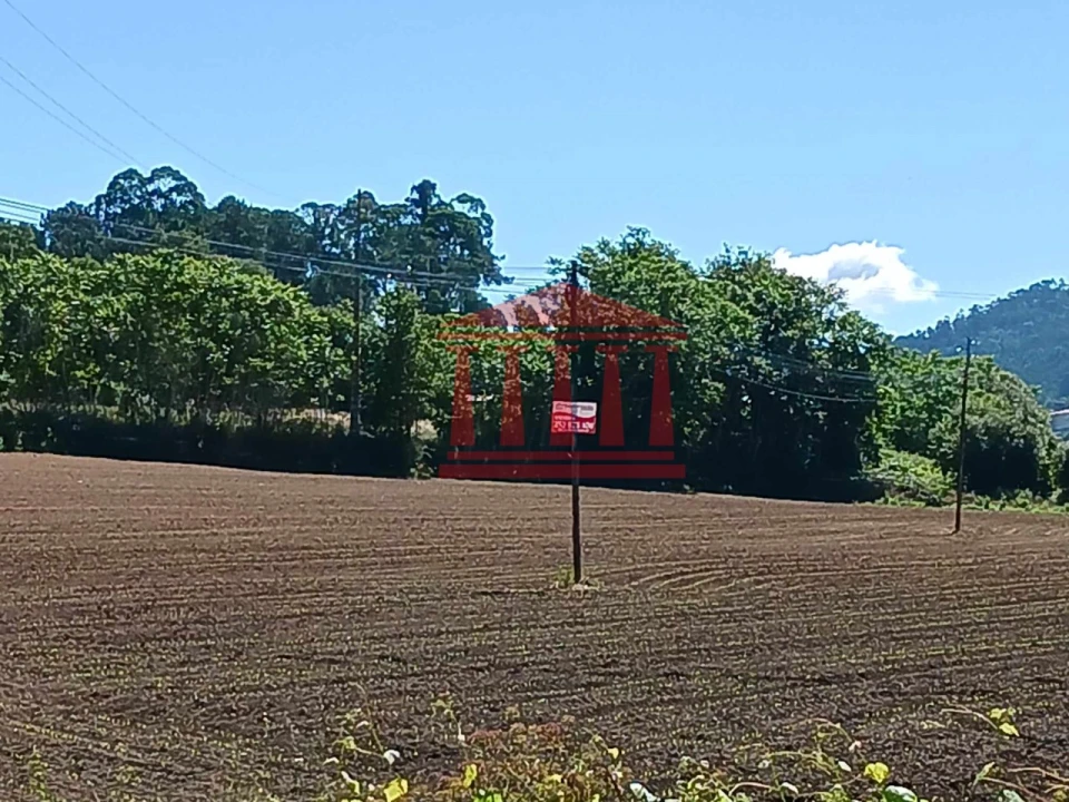 Terreno para Venda em Areias de Vilar e Encourados Foto 2