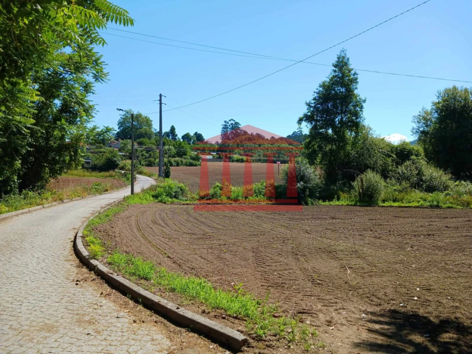 Terreno para Venda em Areias de Vilar e Encourados Foto 5