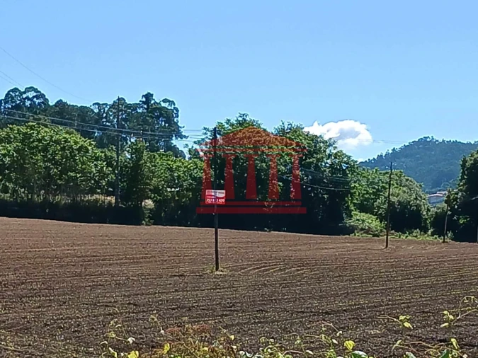 Terreno para Venda em Areias de Vilar e Encourados Foto 4
