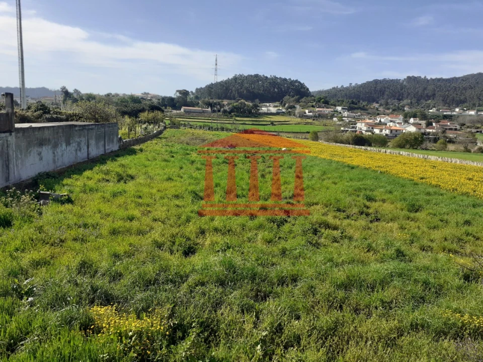 Moradia T3 para Venda em Carvalhal Foto 13