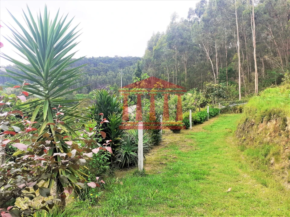 Moradia T3 para Venda em Durrães e Tregosa Foto 26