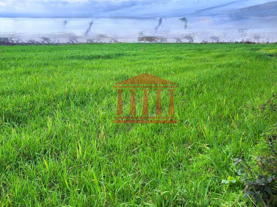 Terreno para Venda em Barroselas e Carvoeiro Foto 18