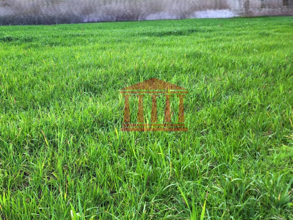 Terreno para Venda em Barroselas e Carvoeiro Foto 21