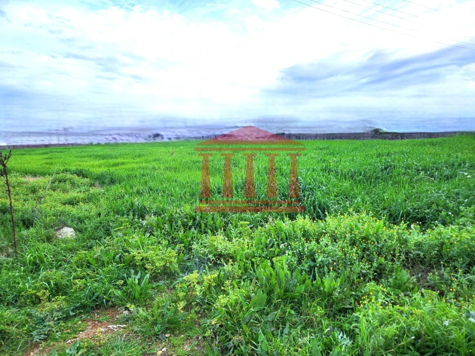 Terreno para Venda em Barroselas e Carvoeiro Foto 22