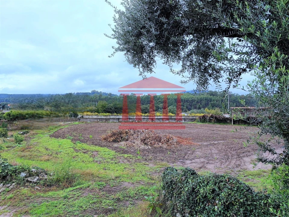 Terreno para Venda em Creixomil e Mariz Foto 5