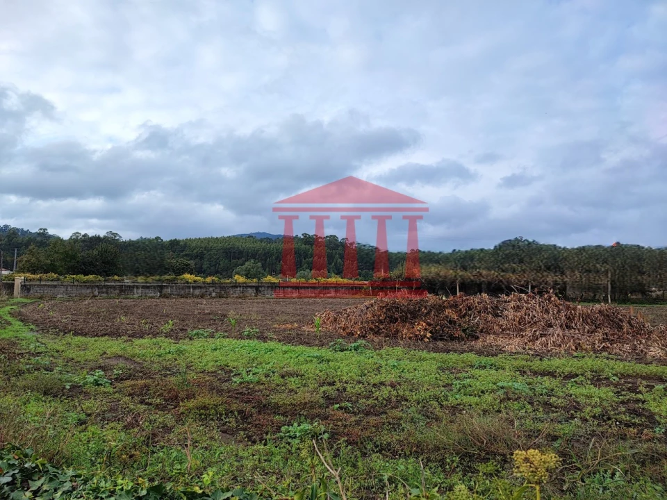 Terreno para Venda em Creixomil e Mariz Foto 10