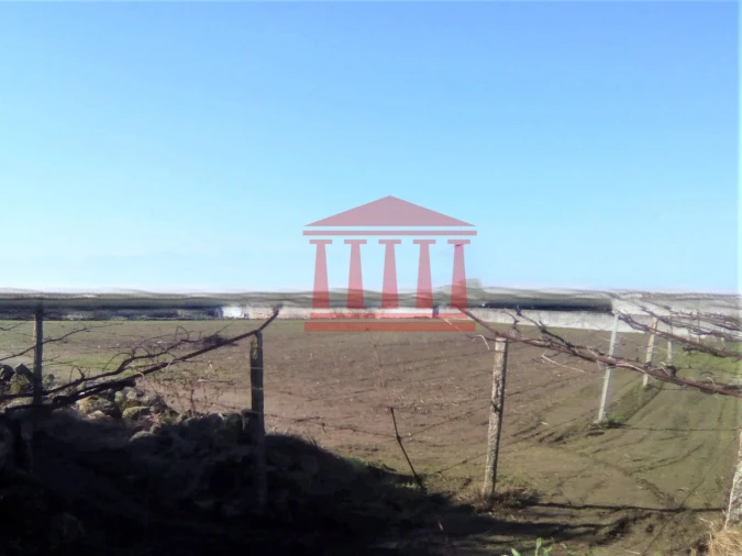 Terreno para Venda em Creixomil e Mariz Foto 3