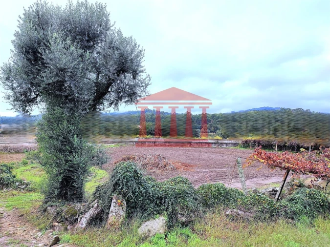 Terreno para Venda em Creixomil e Mariz Foto 4