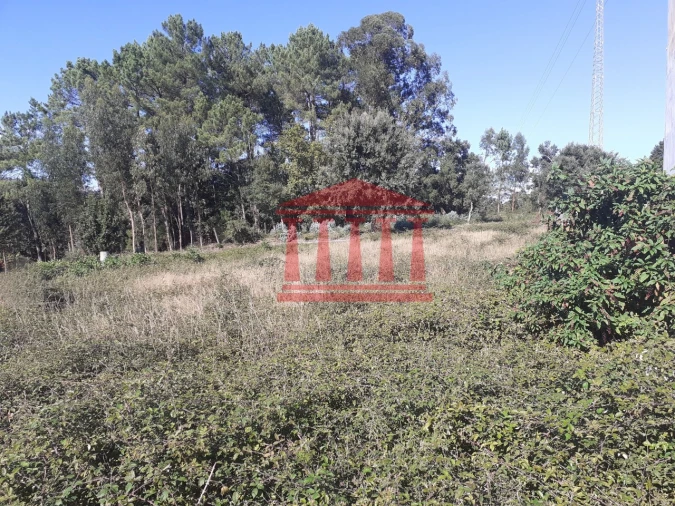 Terreno para Venda em Oleiros Foto 6