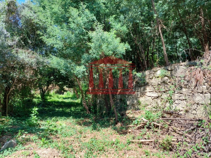 Moradia para Venda em Poiares Foto 17