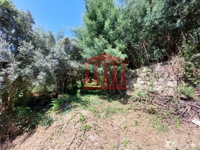 Moradia para Venda em Poiares Foto 18