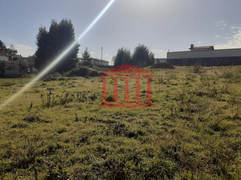 Terreno para Venda em Galegos (Santa Maria) Foto 3