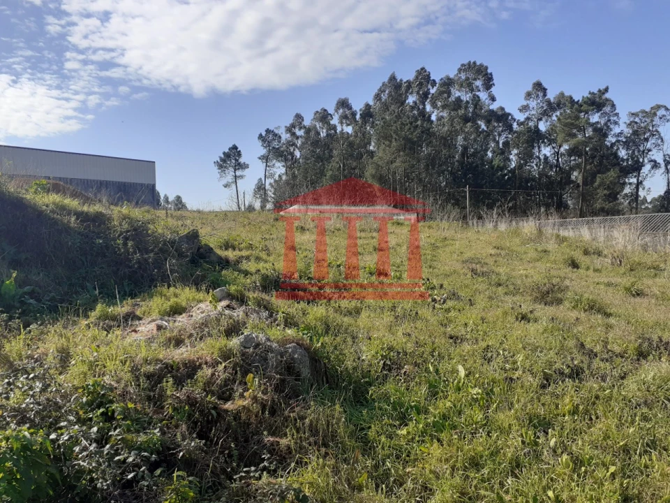 Terreno para Venda em Galegos (Santa Maria) Foto 10